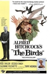 Los Pajaros