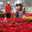 Expo Navidad 2022 en Puebla 