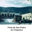 Feria de San Pedro en Chapulco